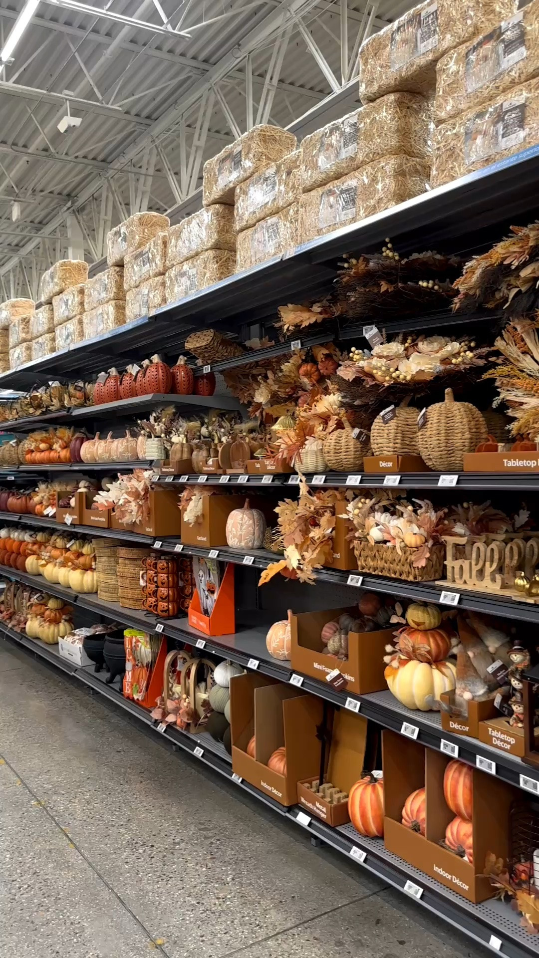 The prettiest Fall Home finds! Prices are soooo good & the cuteness is 10/10! Join me for boo basket ideas!🖤🍂🧡🍁🤎🍂

#LTKSeasonal #LTKstorytime #LTKHome