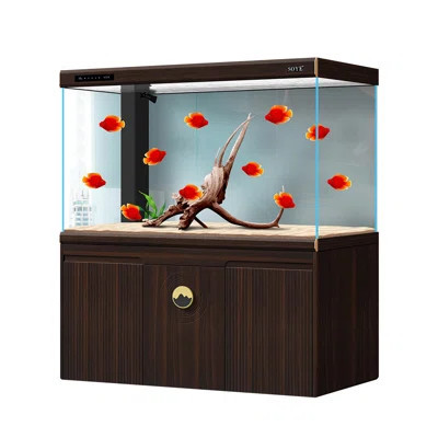 Glass+ Manufactured Wood Modern Eco Aquarium Tank | Wayfair North America