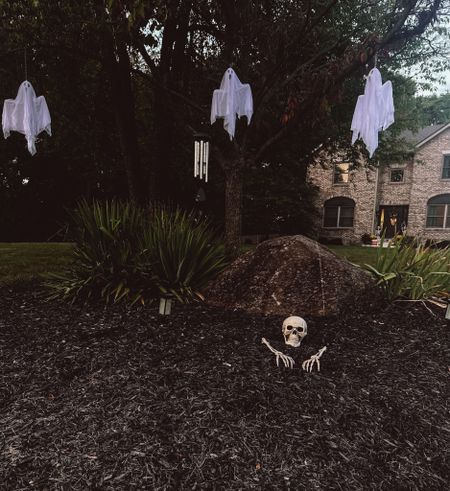 Outdoor Halloween Decor
Hanging Ghost
Skeleton

#LTKHoliday #LTKhome #LTKHalloween