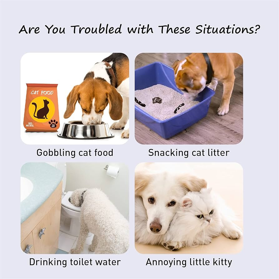 Cat Door Latch with Door Stopper for Dog Proof Cat Feeding Station and Prevent Door from Slamming... | Amazon (US)