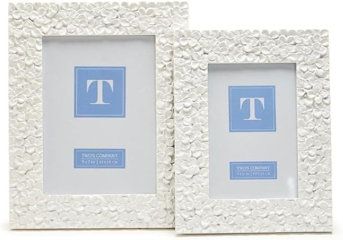 Two's Company Set of 2 Hydrangea Flower Photo Frames - Lovely White Picture Frames 5x7 & 4X6 | Amazon (US)