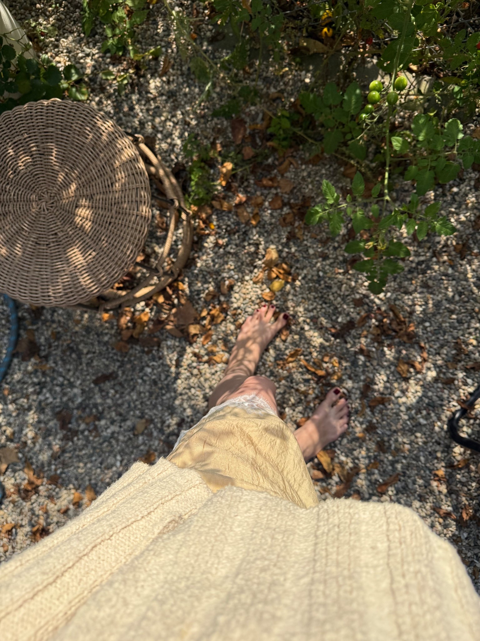 These lace trimmed shorts are my favorite right now 

#LTKBump #LTKSeasonal