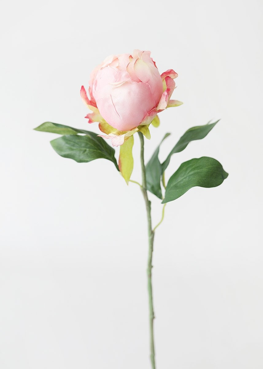 Artificial Flower Peony Bud in Pink - 18" Tall | Afloral (US)