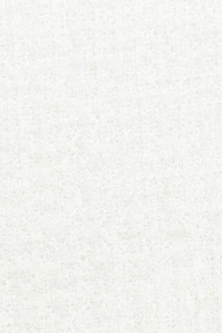 Auden Short in White | Revolve Clothing (Global)