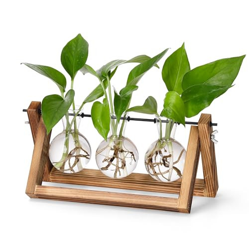 YIBOT Plants Propagation Stations,Desk Plant Terrarium with Retro Wooden Stand,Plant Lover Gifts for Women for Hydroponics Plants Home Garden Wedding Decor(3 Bulb Vase) | Amazon (US)
