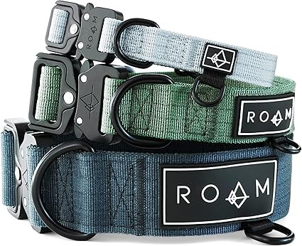 Made to ROAM Premium Dog Collar - Adjustable Heavy Duty Nylon Collar with Quick-Release Metal Buc... | Amazon (US)