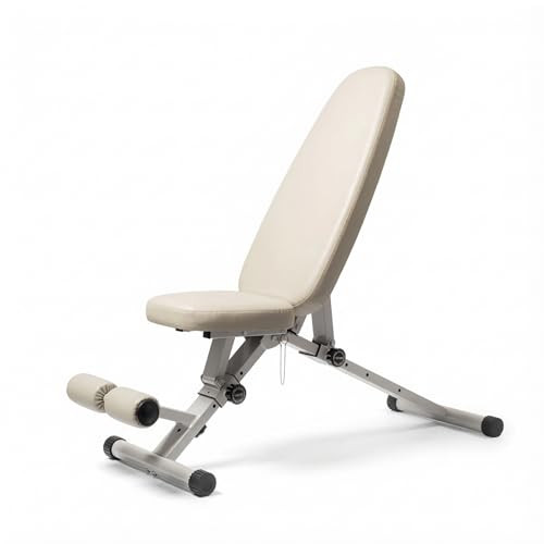 WeGym Workout Bench, Adjustable and Collapsible for Home Gym Training | Amazon (US)