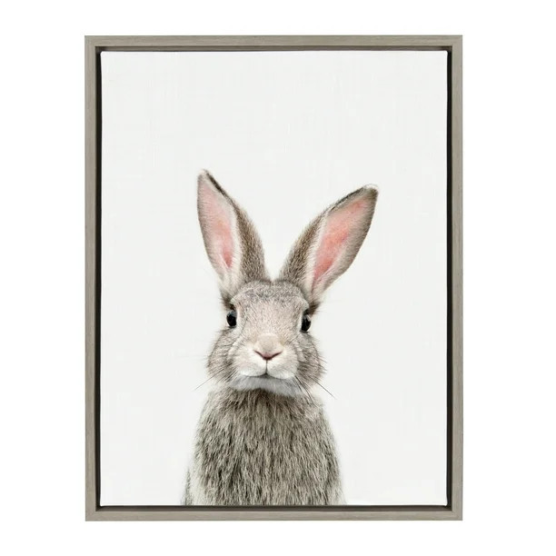 Kate and Laurel Sylvie Female Baby Bunny Rabbit Animal Print Portrait Framed Canvas Wall Art by A... | Walmart (US)