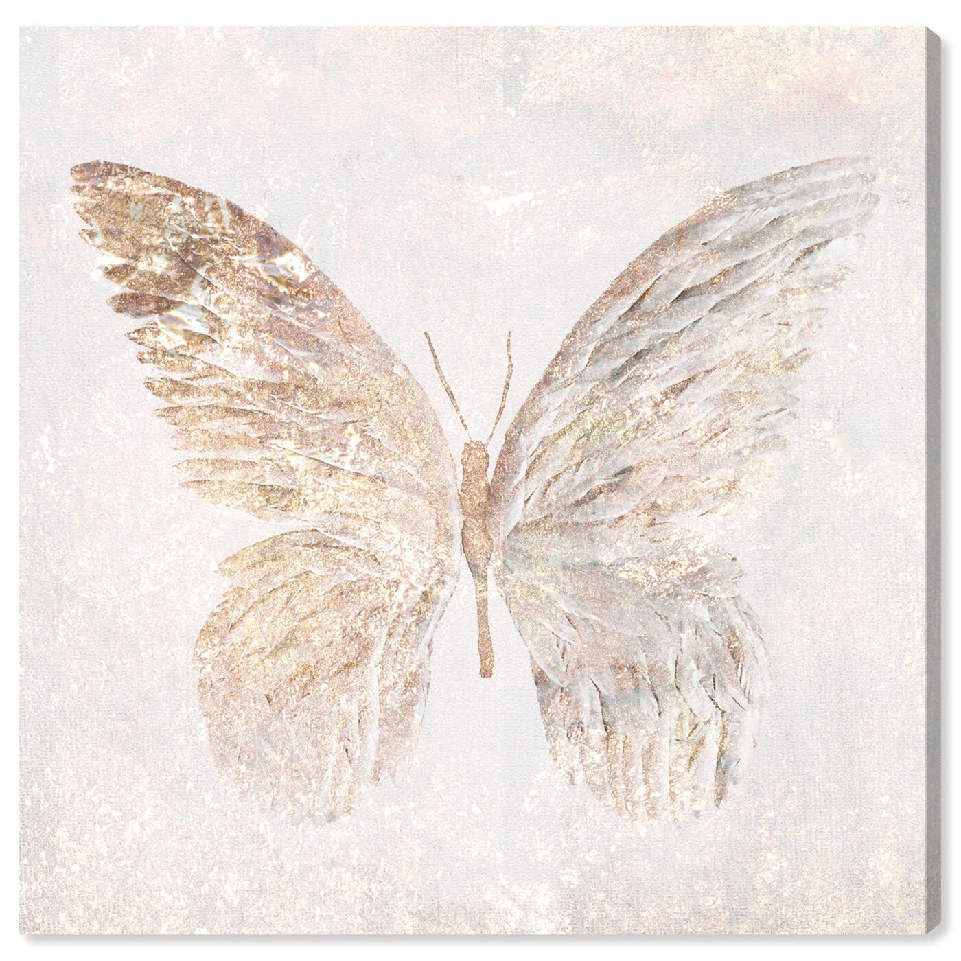 Golden Butterfly Glimmer | Animals Wall Art by Oliver Gal | Oliver Gal