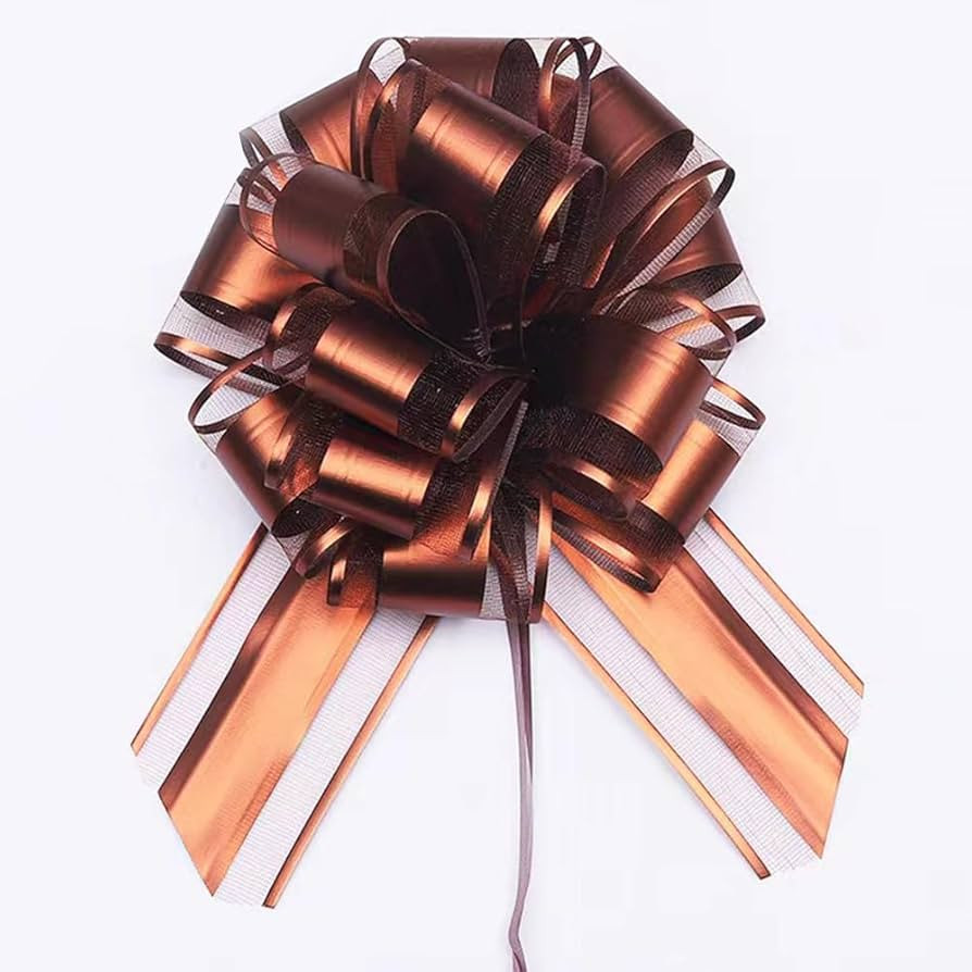 6pcs Pull Bows,Bows for Gift Wrapping Coffee Color Pull Bows for Wedding Baskets,6 Inches Diamete... | Amazon (US)