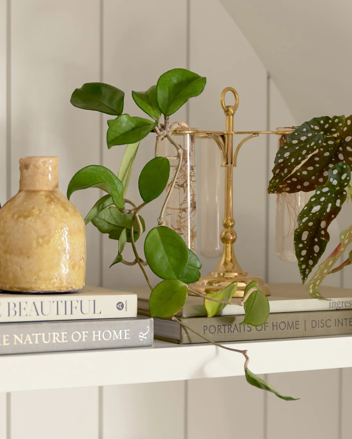 Solid Brass Antique Inspired Propagation Stand | Magnolia