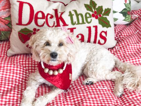 Decorative Christmas pillows and throw blankets for the perfect photo shoot 📸

Dog necklace: agirlsyorkie.com
Dog bandana: eco4paws.com CODE: HONEY_10
Dog hair bow: thedeluxepup.com

#LTKSeasonal #LTKHoliday #LTKfamily
