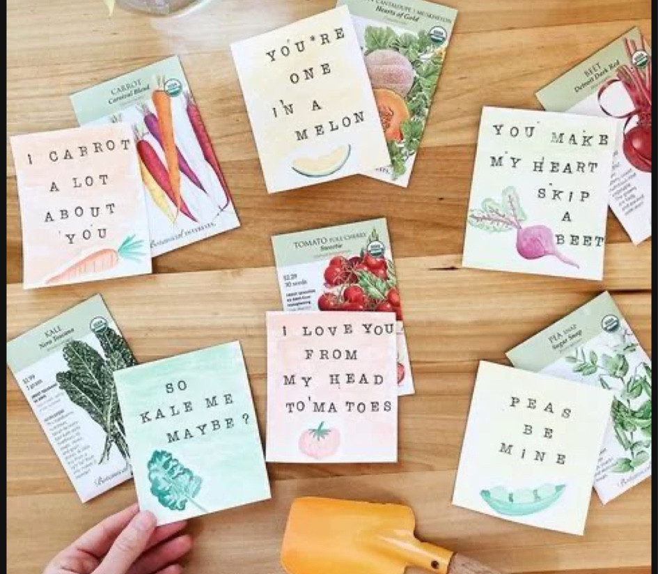 The cutest idea for kid’s Valentines 😍 Sunflower seeds would be so cute #valentinesdayideas #valentinesday 