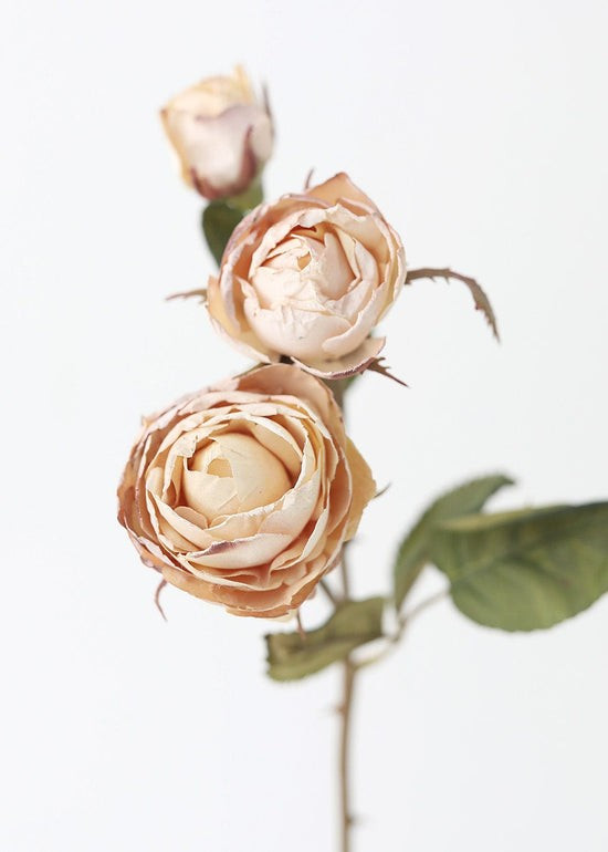 Beige Faux Dried Roses with Bud - 21 | Afloral (US)