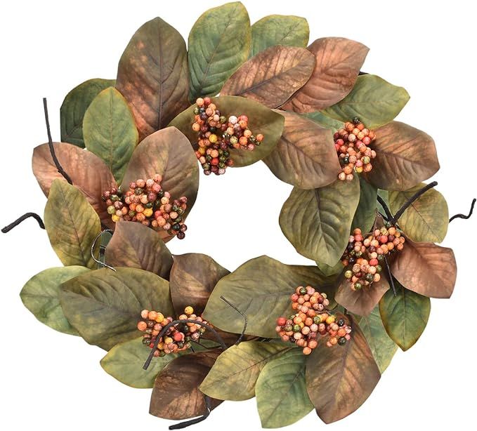 Cloris Art Fall Door Wreaths Magnolia Leaves/Berry - Artificial 20-22 Inch Green Thanksgiving Wre... | Amazon (US)