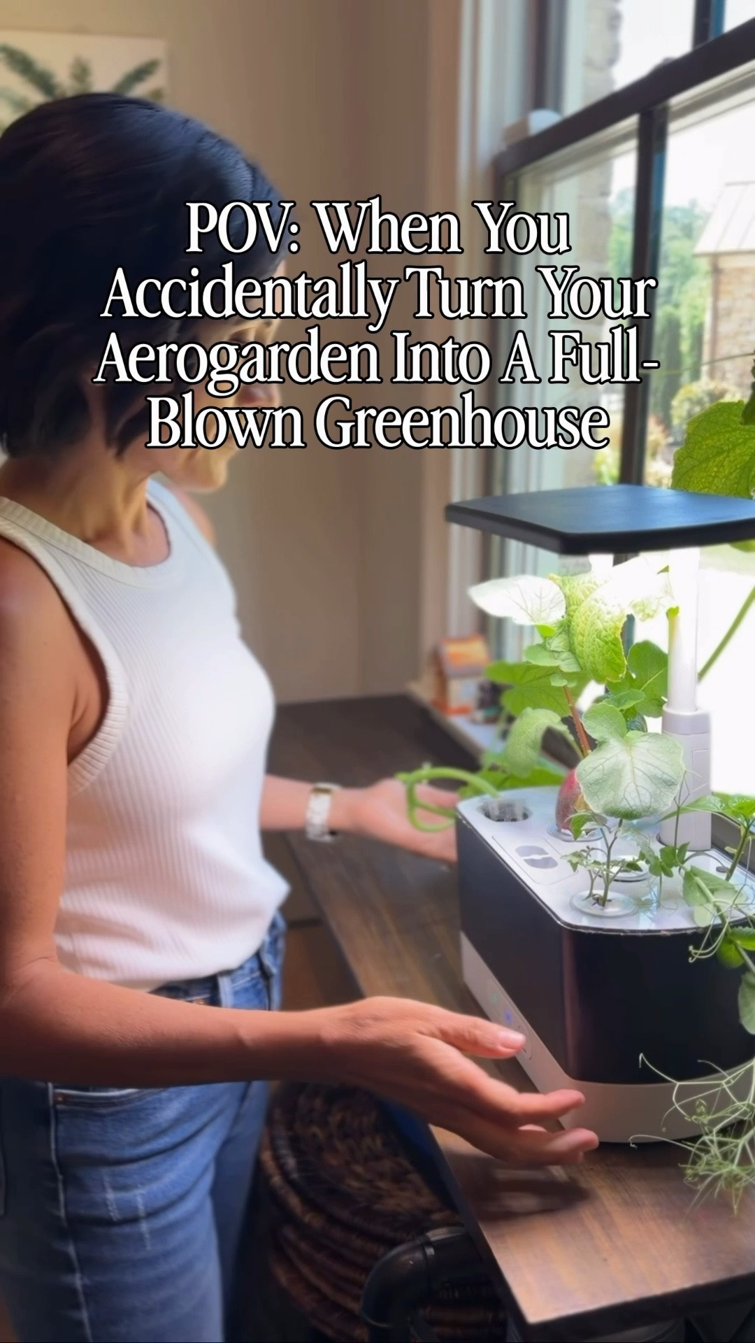 One of my favorite little hobbies has been growing herbs and veggies from seed in my
AeroGarden-and apparently they loved it because they completely outgrew it! 
Sharing the whole journey from seed to transplant and linking my Aero Garden and the seeds I used for anyone wanting to start their own countertop garden. It's one of the easiest ways to bring fresh herbs and vegetables into your kitchen year-round.

#LTKgrwm #LTKfoodie #LTKHome