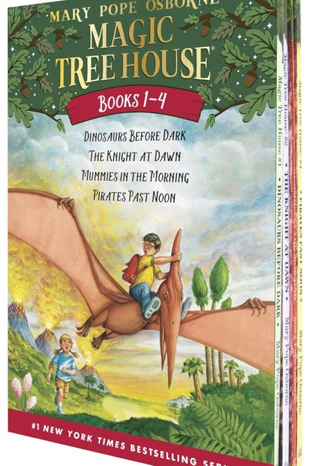 Read Aloud Chapter Books for Kindergarten through Second grade-ish 

#LTKkids #LTKGiftGuide #LTKfamily
