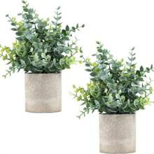 Pack Small Fake Plants Eucalyptus Potted Artificial Plants For Shelf Desk Home Bathroom Farmhouse Room Coffee Table Decor Sage Green | SHEIN
