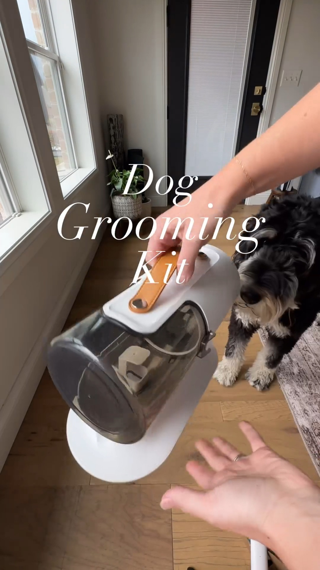 This dog hair vacuum and grooming kit is the coolest gadget I’ve bought from Amazon. I don’t know how it took me so long to discover this but it’s so awesome. It has so many attachments including a dog hair trimmer. That means we had a mess free grooming session today and I could not be more pleased about it.

Maple gets severe anxiety going to the groomer so we had to figure out a different situation and this has transformed how we trim, brush and dry her!


#LTKsalealert #LTKfamily #LTKfindsunder100