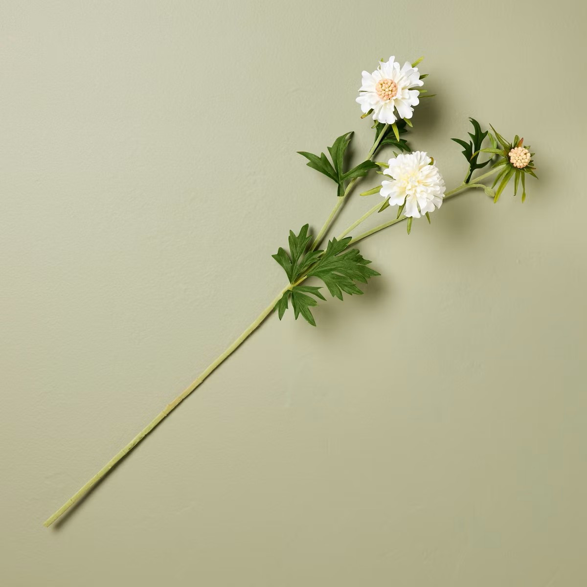 25" Scabiosa Artificial Stem White - Hearth & Hand™ with Magnolia 

 #LTKU #LTKHome #LTKSaleAlert