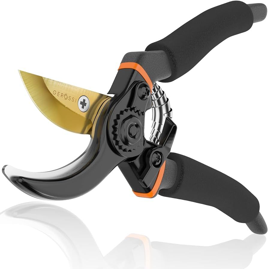 Premium Bypass Pruning Shears for your Garden - Heavy-Duty, Ultra Sharp Pruners w/Soft Cushion Grip Handle Made with Japanese Grade High Carbon Steel - Perfectly Cutting Through Anything in Your Yard | Amazon (US)