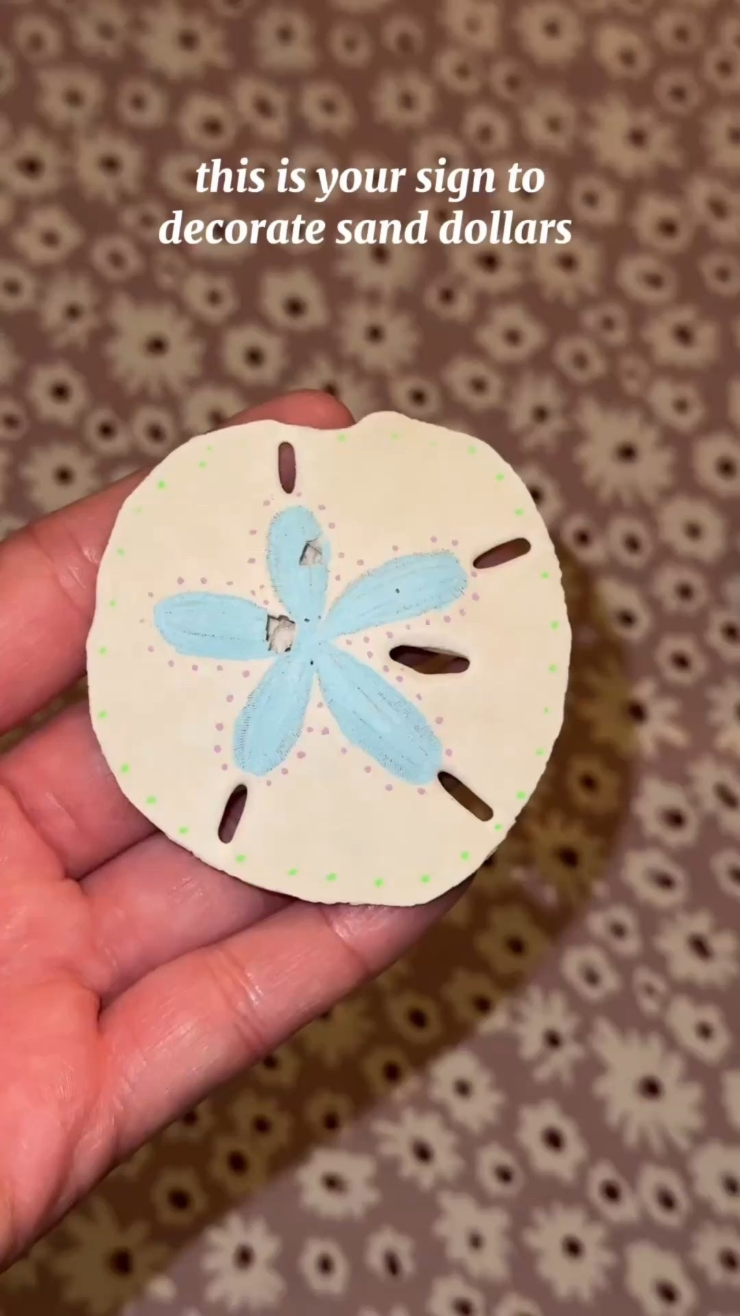This is your sign to decorate sand dollars! I got the markers at Walmart ⭐️


#sanddollar #diy #florida #shelling #fangirl

#LTKSaleAlert #LTKU #LTKdayinmylife
