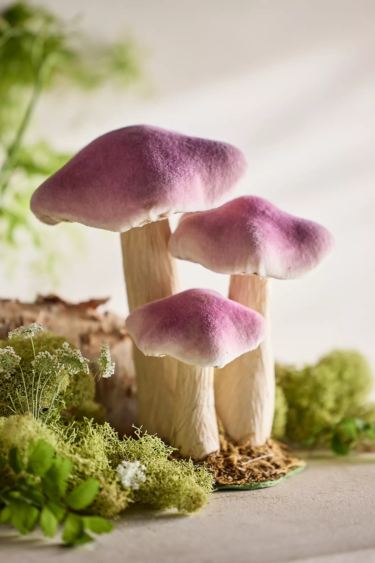 Velvet Mushroom Trio, Small | Terrain