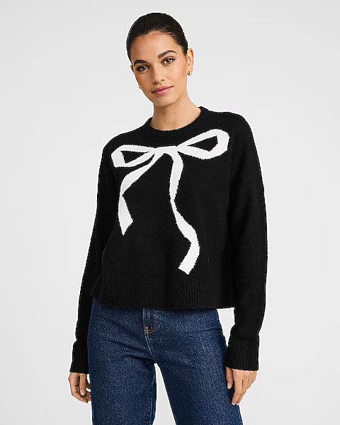 Cloud Soft Bow Graphic Crew Neck Sweater | Express