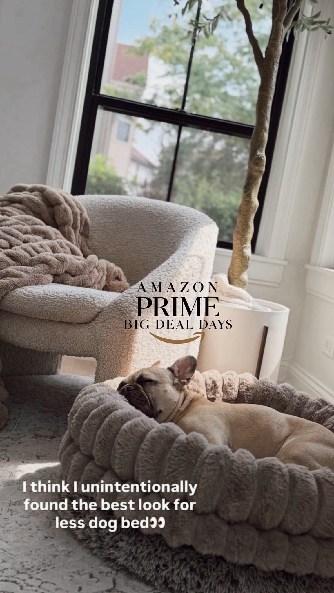 He loves it! Best look for less and look at the reviews! All the pups are so cute! 🐾💯

I have oatmeal, 30”
