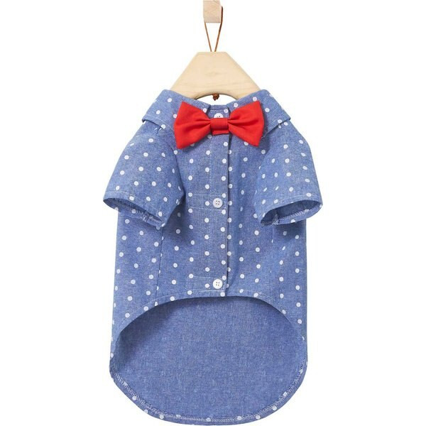 FRISCO Polka Dot Chambray Dog & Cat Button Up Shirt, Small - Chewy.com | Chewy.com