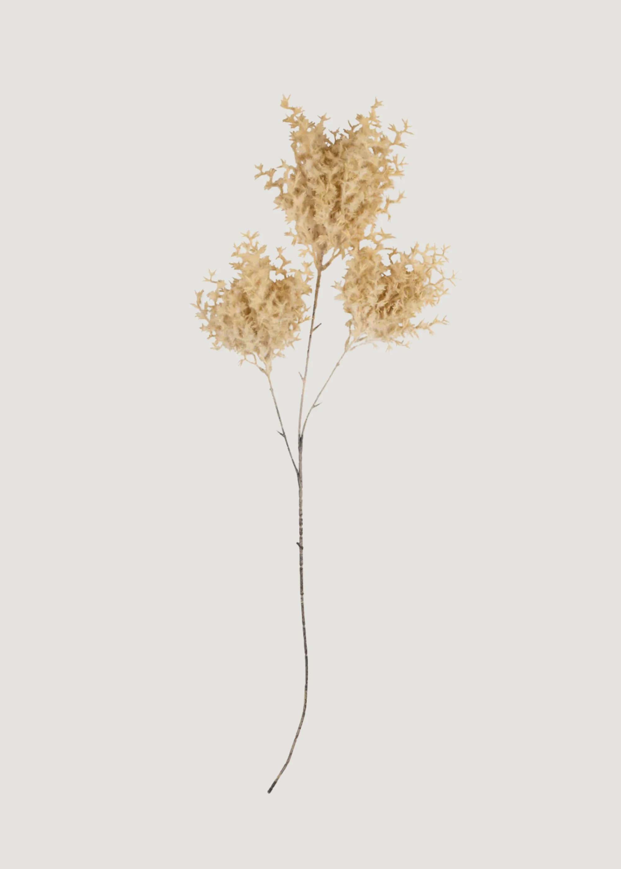 Beige Wild Fog Grass Branch | Fake Grasses and Plants | Afloral | Afloral