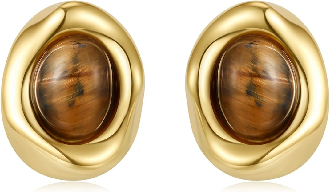 Brown Earrings Circle Chunky Earrings for Women Trendy 18K Gold Plated Stud Hoop Stainless Steel ... | Amazon (US)