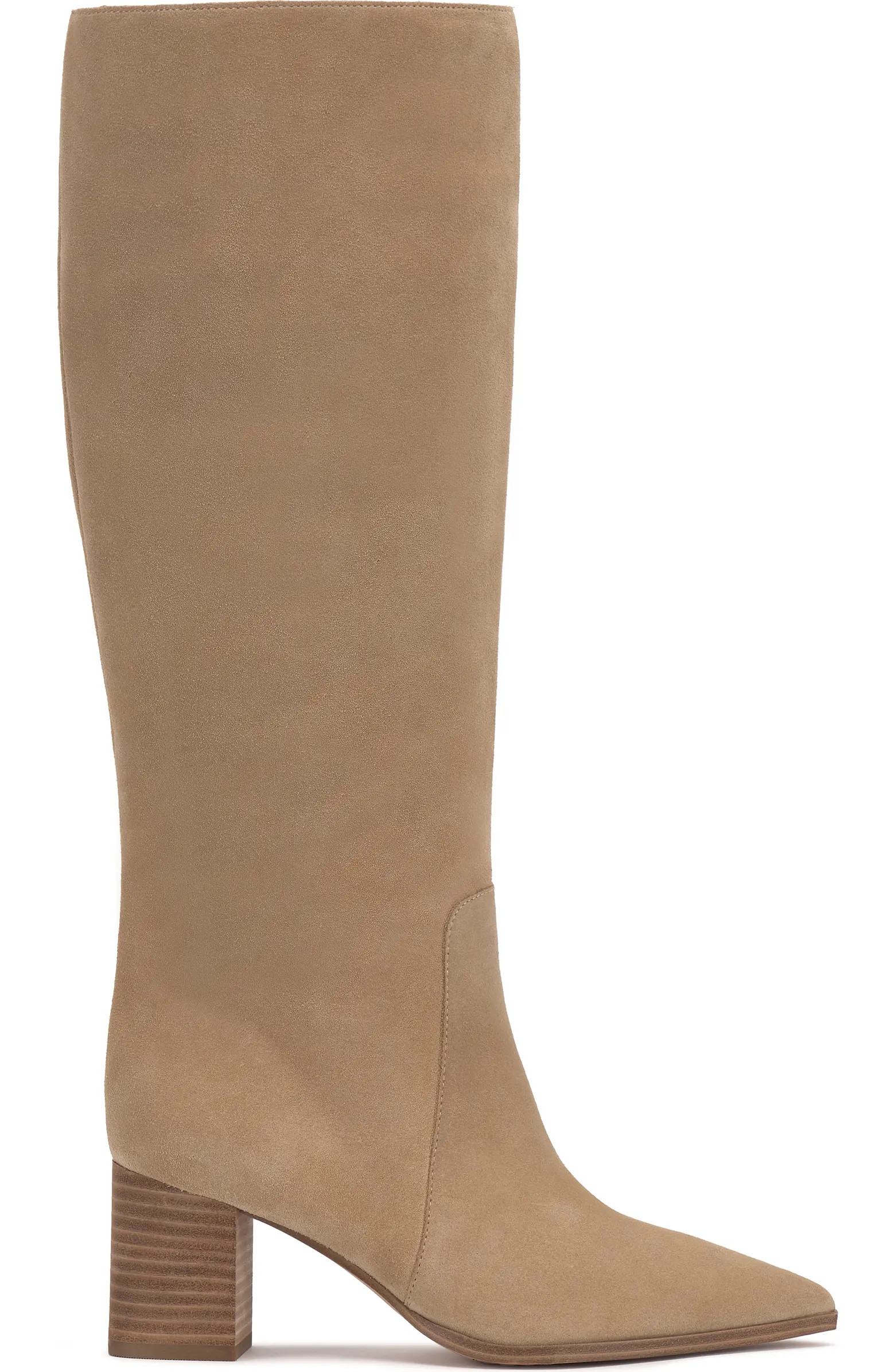 Lumina Pointed Toe Boot (Women) | Nordstrom