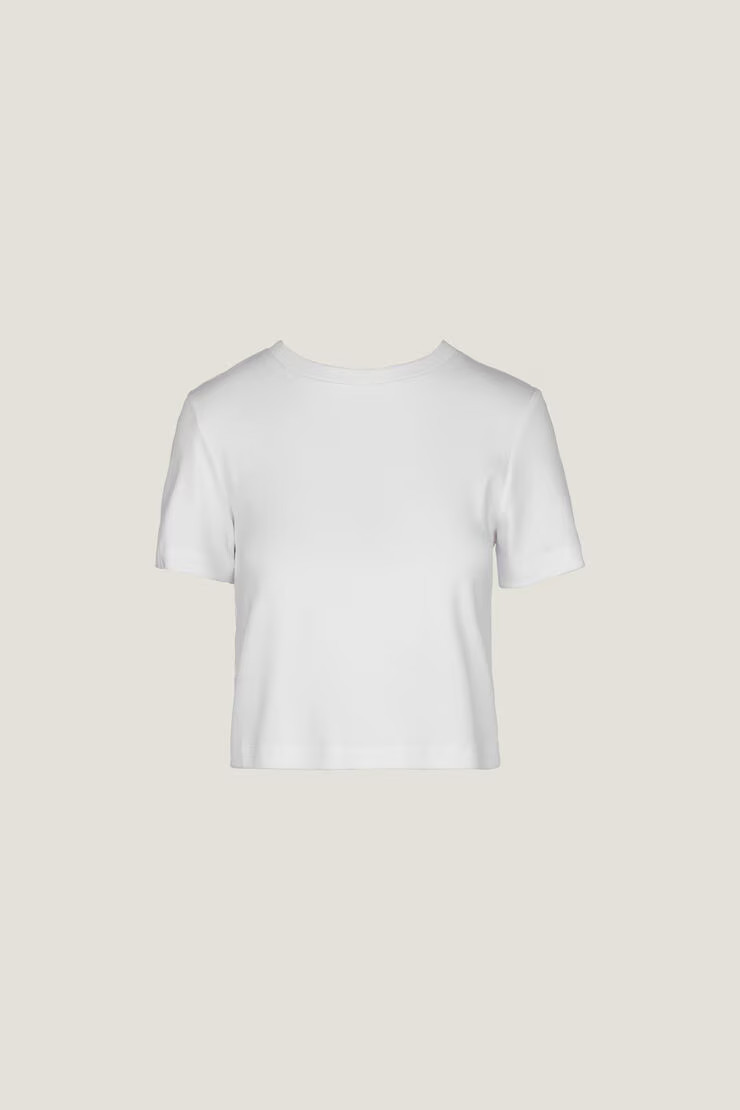 Everyday Cotton T Shirt | Dynamite Clothing