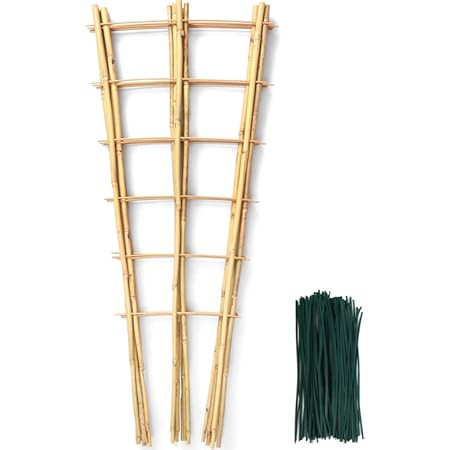 4 Pack 4 Feet Bamboo Trellis for Climbing Plants Outdoor, Taoskai Fan-Shape Garden Trellis for Tomatoes, Cucumbers, Peas, Flowers, Potted Plants, Plant Support | Amazon (US)