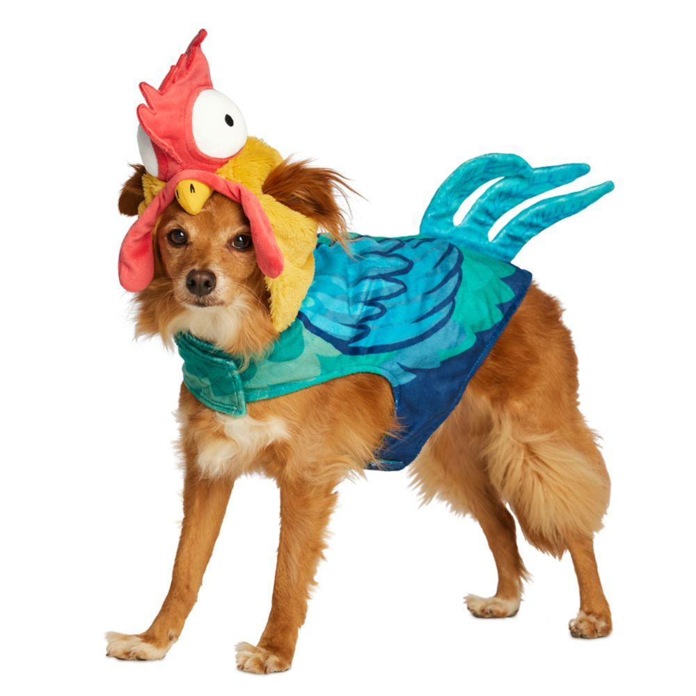 Hei Hei Pet Costume – Moana | Disney Store