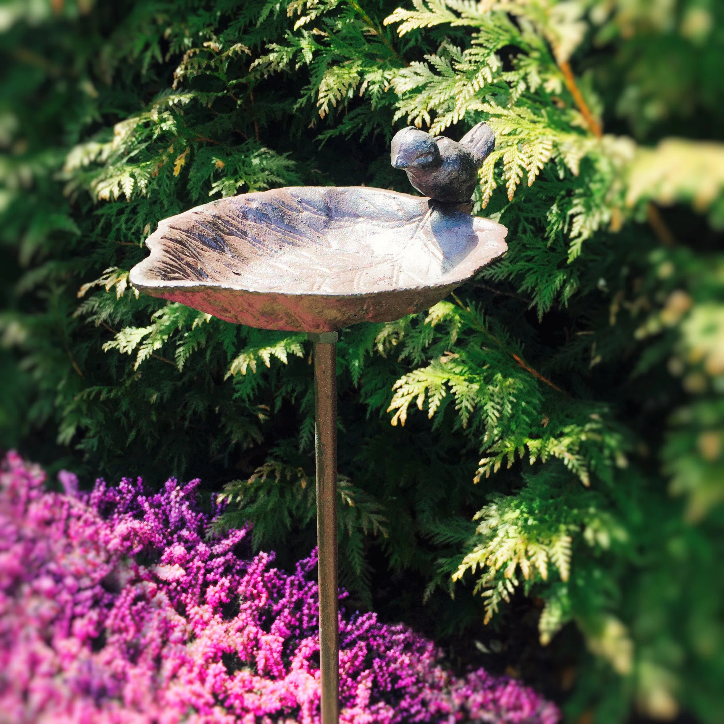 August Grove® Ale Scallop Shell Birdbath & Reviews | Wayfair | Wayfair North America