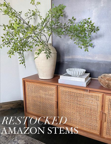 These 43” amazon stems are finally back in stock and under $25! 

Amazon home decor, amazon style, amazon deal, amazon find, amazon sale, amazon favorite 

home office
oureveryday.home
tv console table
tv stand
dining table 
sectional sofa
light fixtures
living room decor
dining room
amazon home finds
wall art
Home decor 

#LTKhome #LTKunder50 #LTKsalealert