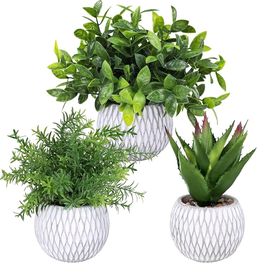 Winlyn 3 Pcs Small Potted Plants Artificial Eucalyptus Rosemary Plants and Aloe Succulent Plant i... | Amazon (US)
