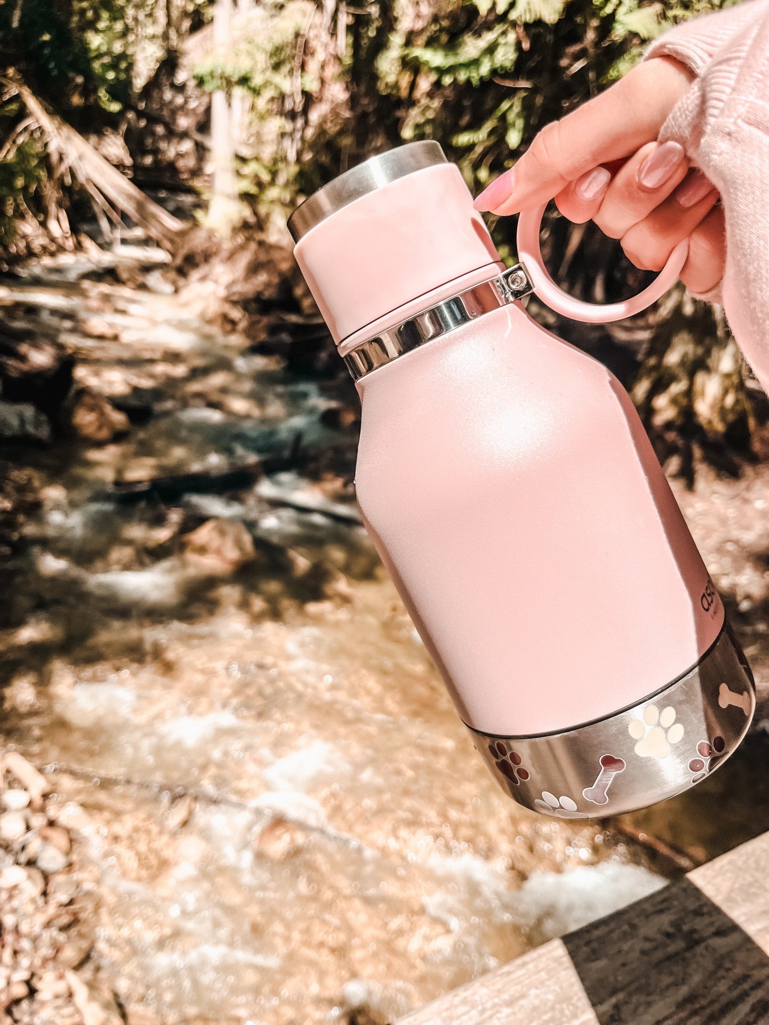 Make travel easier with pets 

#LTKSeasonal #LTKActive #LTKTravel