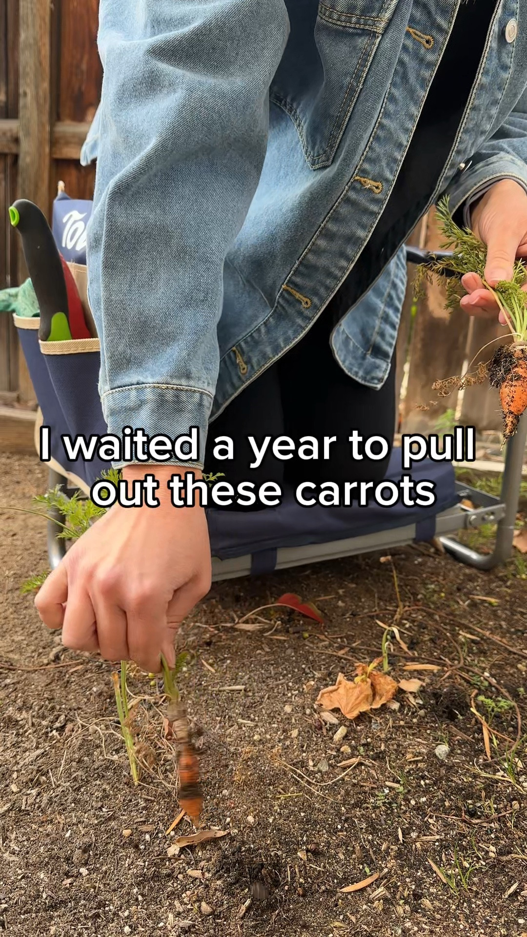 I just want to be a retired millennial with a bountiful garden. #GardeningVideos #GardeningTools #GardeningGifts #GiftsForHer #SpringGardening #Garden #GardenInspo

#LTKHome #LTKSeasonal #LTKGiftGuide
