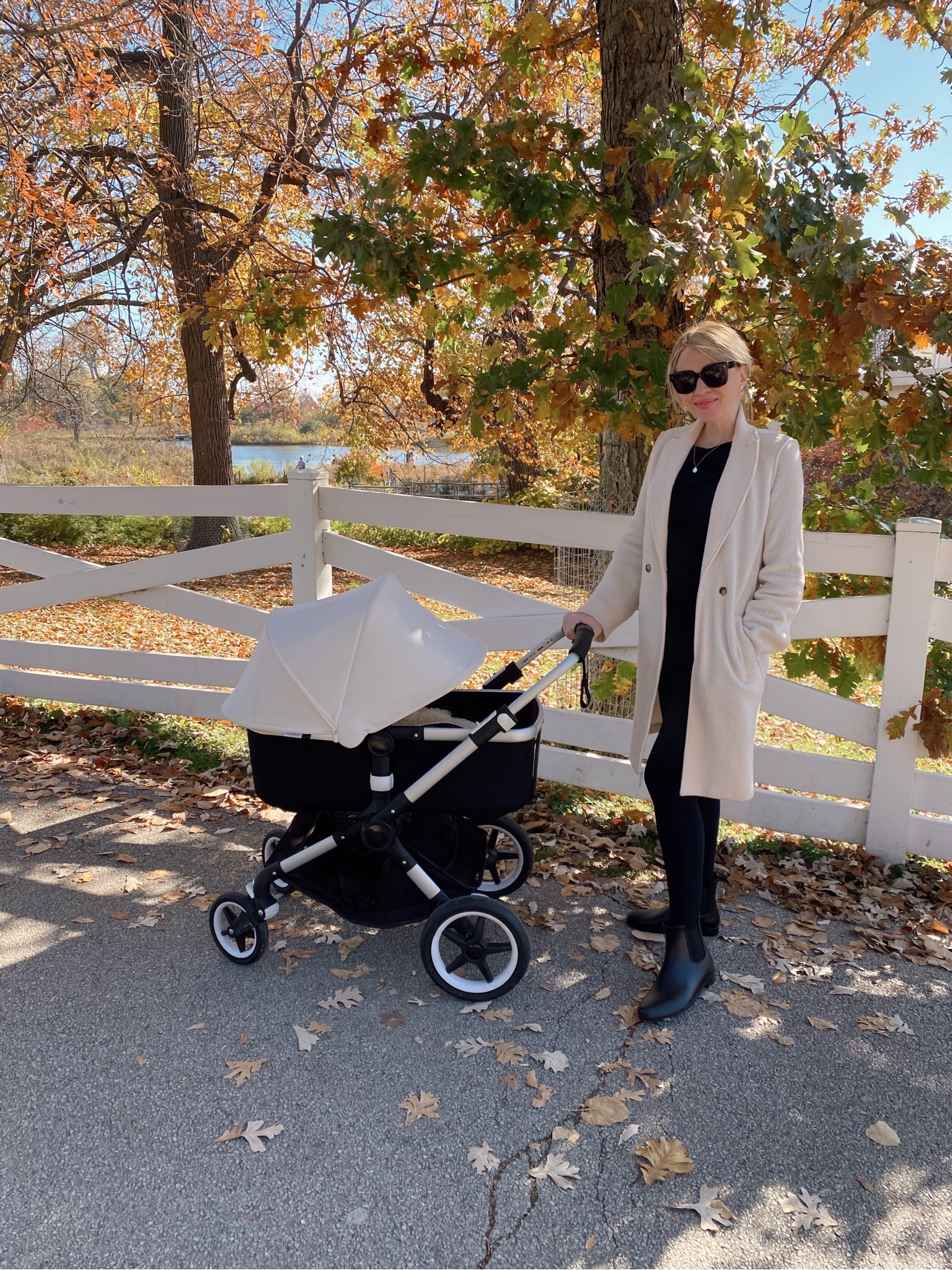 J.Crew Daphne wool coat.