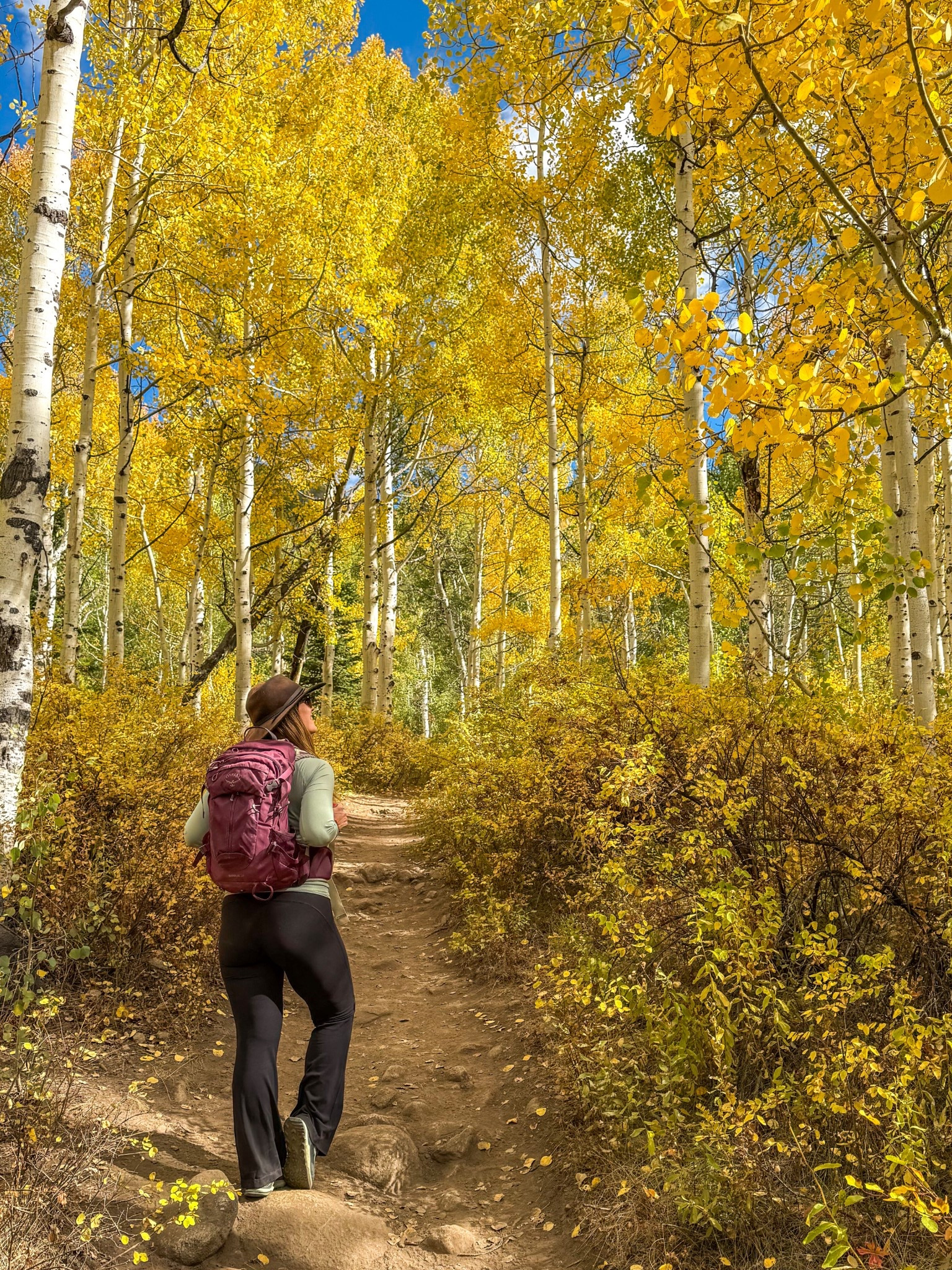Women’s fall hiking outfit inspiration!✨🍂🥾

Cute and practical hiking clothes.



#LTKActive #LTKSeasonal #LTKTravel