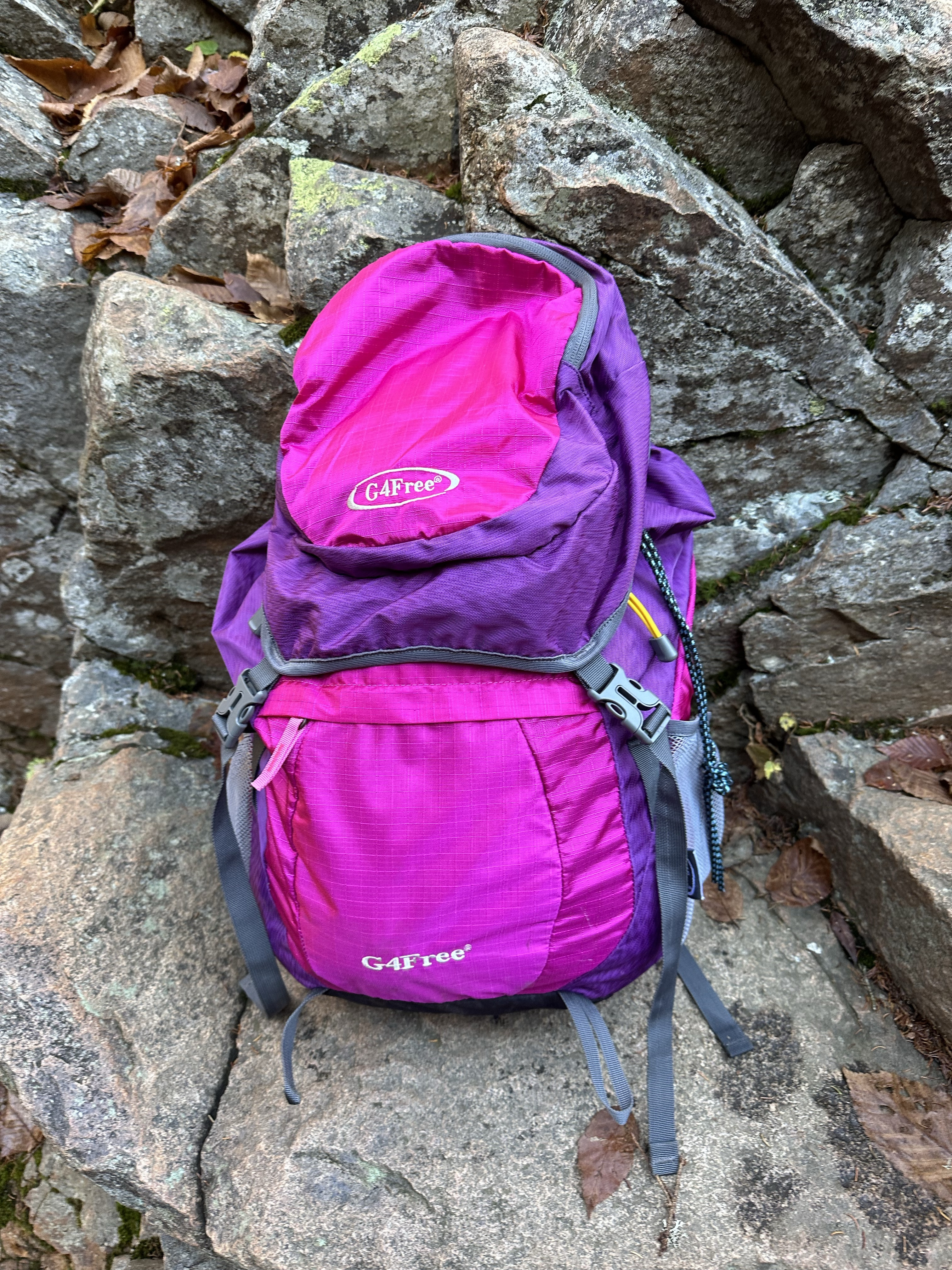 My go to backpack for hiking. It fits so much and has a ton if pockets for organizing. Would make a great gift. 

#LTKActive #LTKItBag #LTKGiftGuide