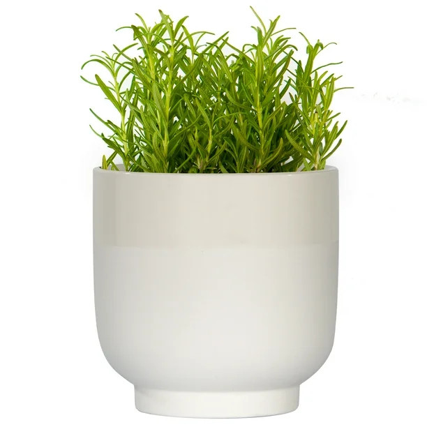 Mainstays 6in Ivo Ceramic Planter, White | Walmart (US)