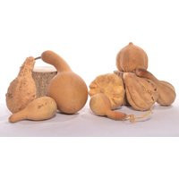 Six | 6 Assorted Dried Small Gourds | Etsy (US)