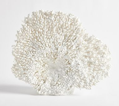 Spiked Coral | Pottery Barn (US)