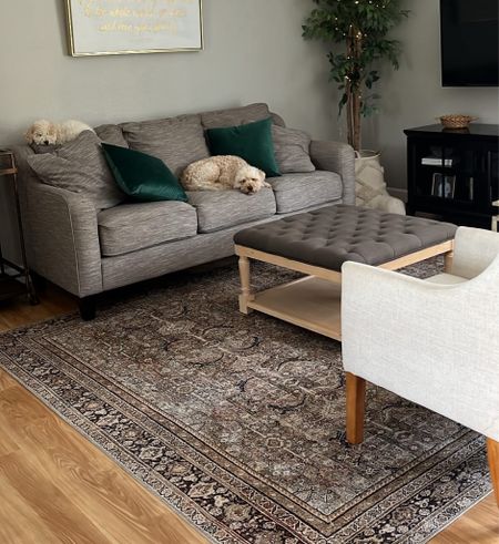 Cozy rugs and cuddly dogs  

#LTKhome