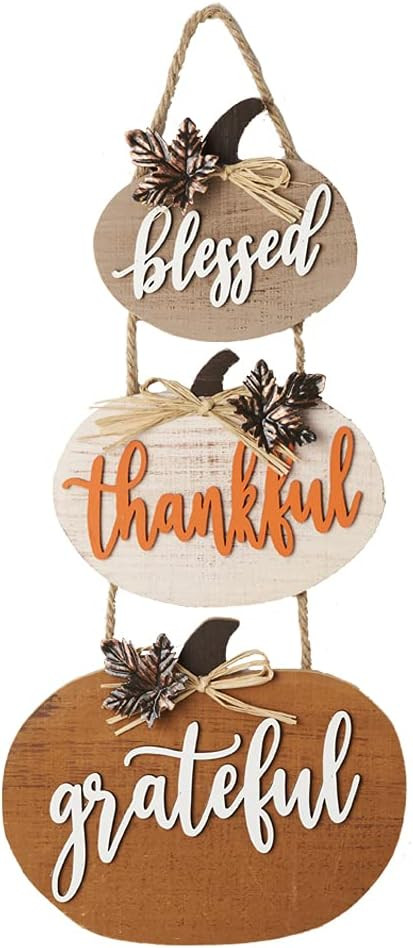 Fall Decorations for Home Thanksgiving Sign Blessed Thankful Grateful Autumn Home Decor Wooden Fa... | Amazon (US)