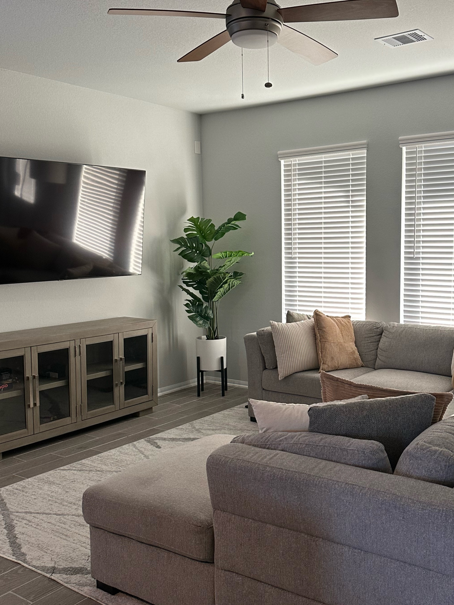 Plant dupe 

#LTKFamily #LTKStyleTip #LTKSeasonal